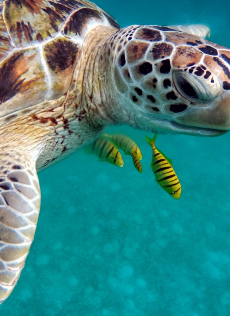 11 Easy Ways To Reduce Your Plastic Waste Today