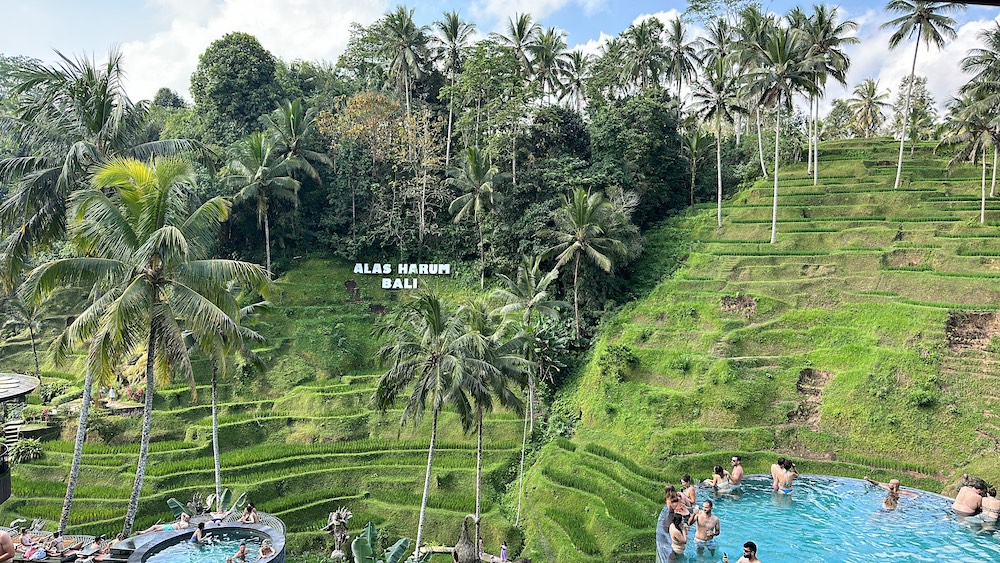 Digital Nomad Guide to Bali