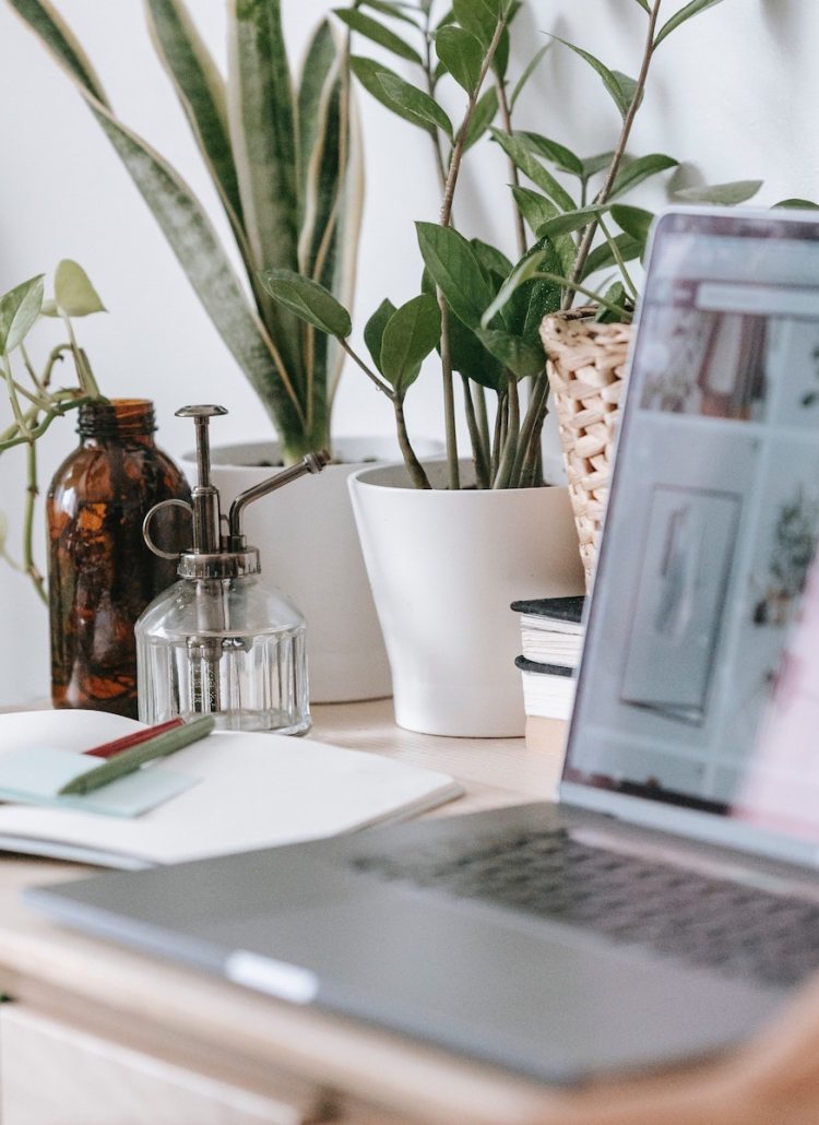 I made $3,278 Blogging in September
