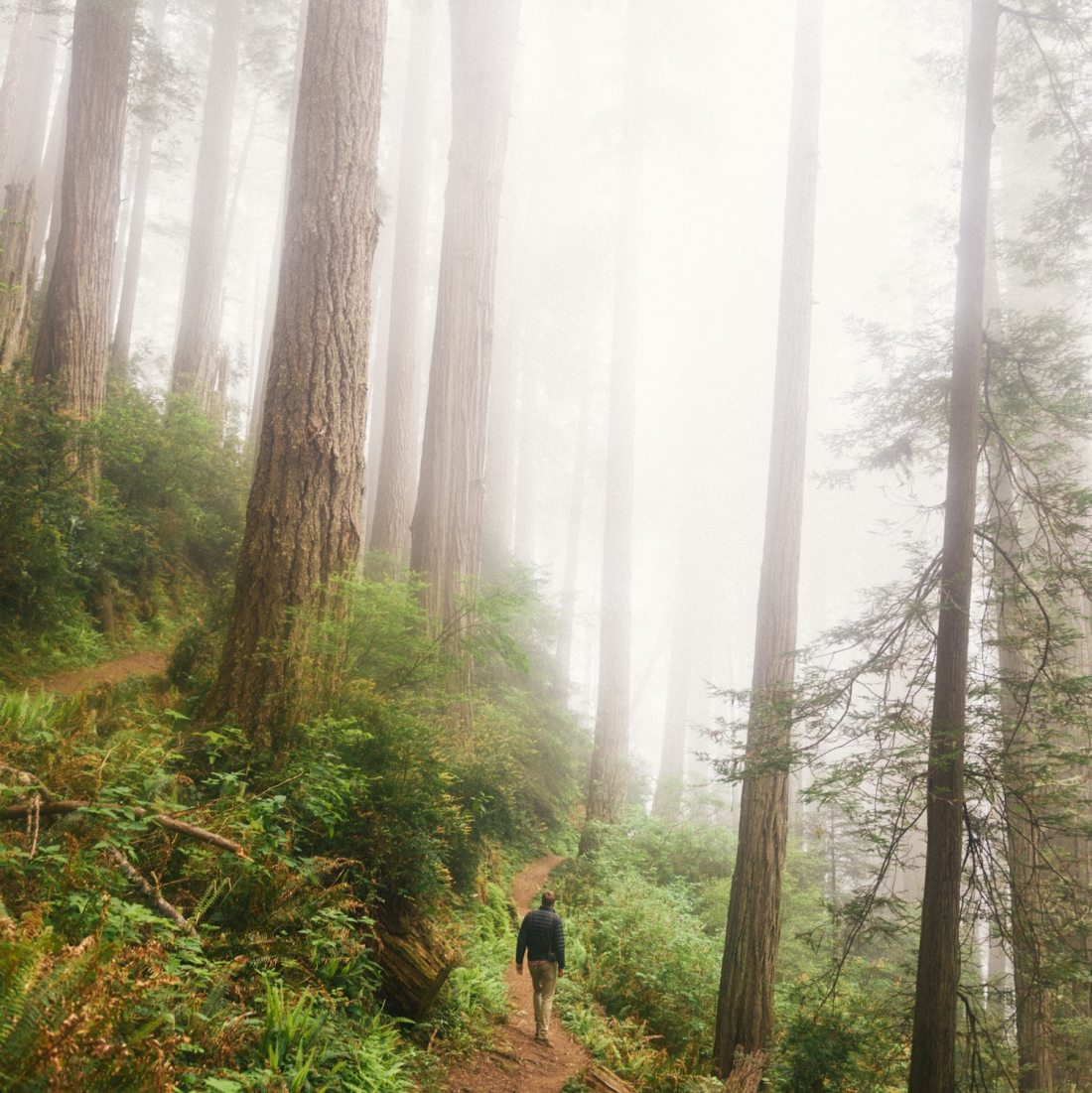Some life-changing challenges to try for self-improvement